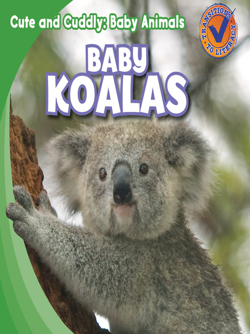 Title details for Baby Koalas by Katie Kawa - Available